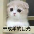 笨笨笨笨笨婷头像