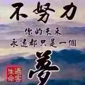 无线的风筝952头像