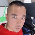 传媒演艺飞龙头像