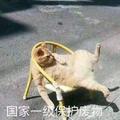 BlackAlec · 星越L车主·车龄3年头像