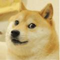 承蒙时光不弃9221719头像