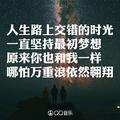 浮名半生意奔玛滤清器头像