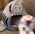 我认为有失公正头像