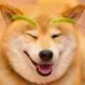 噗噗小人头像