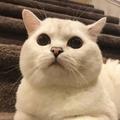 用户3953509807242头像