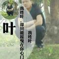 心若移动如何联通201头像