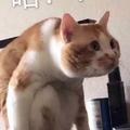swagger18209514711头像