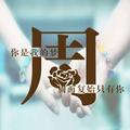 不将就6911头像