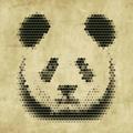 小猫熊4010头像