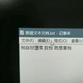 执着的鲸鱼4k头像