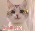 勤劳致富靠双手a头像