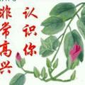 心随我动15729头像