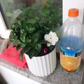 酒干倘卖无卖无头像