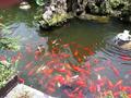 味道61503213头像