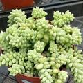 用户4021061474912 · 途岳车主·车龄3年头像
