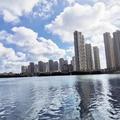 吉家大师头像