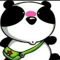 小熊猫28279头像