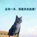 勤能补拙2647头像