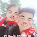 语愿379头像