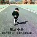 勿忘我8257442964148头像