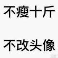 诚信汽车租赁行明明头像