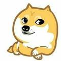 d开山怪s头像