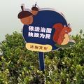 毛毛虫与猪猪侠头像