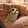 用户9167786867118头像
