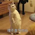 用户6274157410050头像