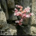 龐彬393头像