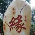 用户8913164796861头像