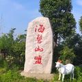 一生所爱22222222222头像