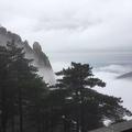 淼哥811头像