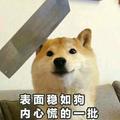 用户9055252891205头像
