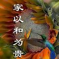 忽忘我5417头像