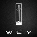 深圳大兴WEY头像