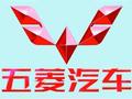 五菱宏光华中地区CEO头像