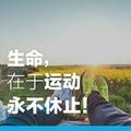西南官头像