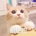 树洞—游戏之家头像