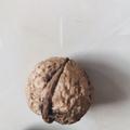 时尚生活乐趣分享头像