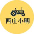 西庄小明头像